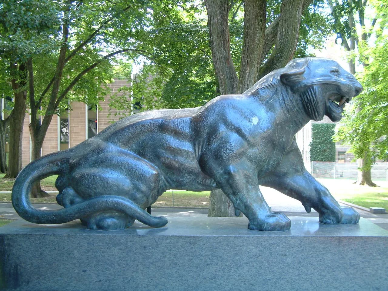 Tiger, Princeton University, Princeton, New Jersey