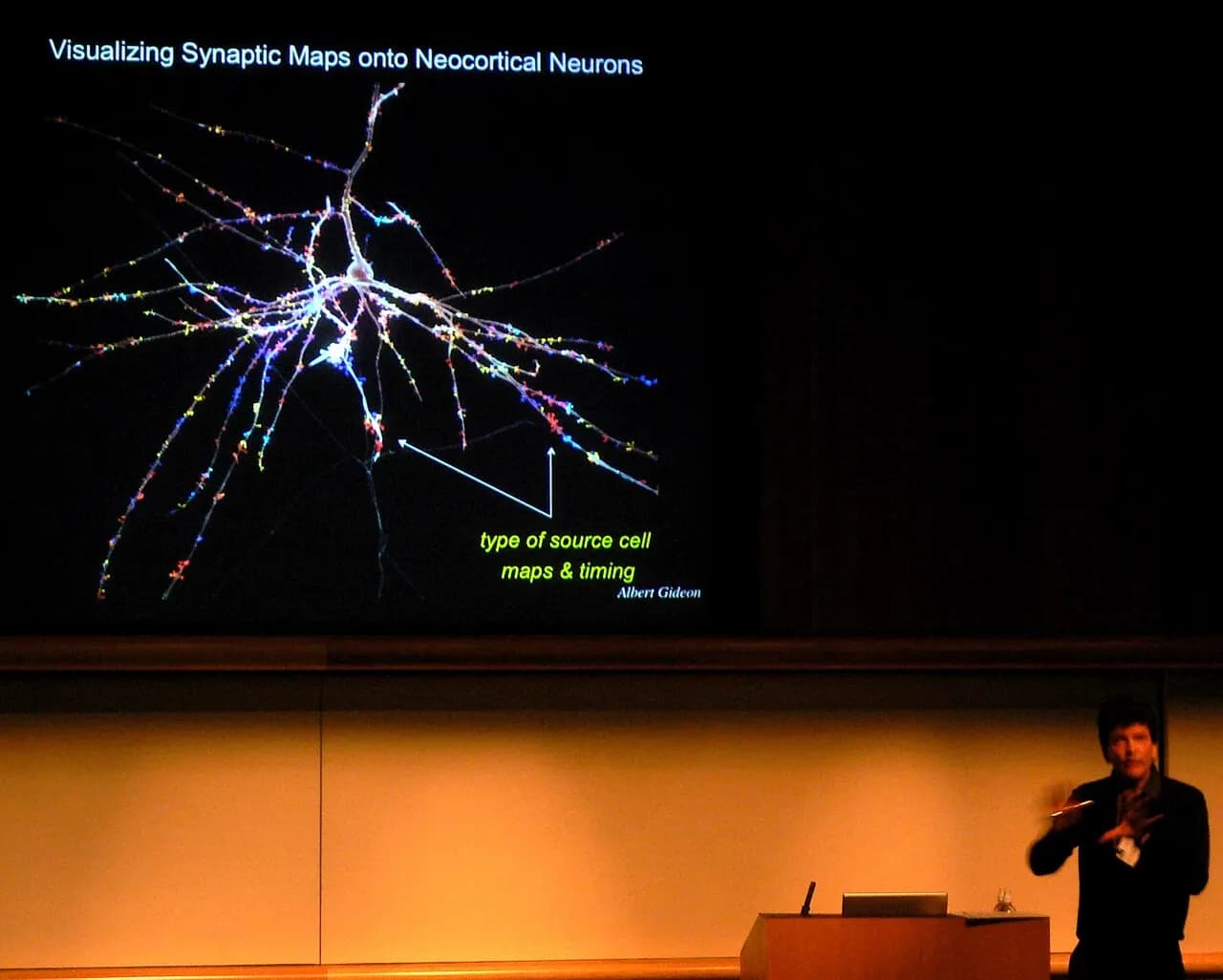 Henry Markram: Visualizing Synaptic Maps onto Neocrortical Neurons